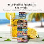 P&J Trading Fragrance Oil Summer Set | Candle Scents for Candle Making, Freshie Scents, Soap Making Supplies, Diffuser Oil Scents