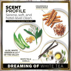 Urban Naturals Car Air Freshener Diffuser Dreaming of White Tea Scent, Hotel Scents Collection, Strong Long Lasting Aroma Made in USA, Hanging Oil Diffuser + Vent Cip Car Accessories (1 Pack)