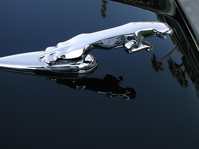 P21S 12700W Carnauba Wax