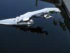 P21S 12700W Carnauba Wax