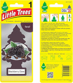 Little Trees DAS-17343 Car Air Freshener | Hanging Paper Tree for Home or Car | Blackberry Clove
