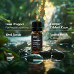 Lagunamoon Essential Oils Set - 12 Piece Premium Grade Home Essentials Oils - for Diffusers, Fragrance, Scents for Candle Making - Natural Aromatherapy Oils for Cars & Home Products, Room Sprays
