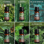 SALKING Woodsy Essential Oils Set for Men, Masculine Essential Oils, 12 x 10ml Natural Fragrance Essential Oils for Diffuser, Candle & Soap Making, Manly Essential Oil Gift for Husband