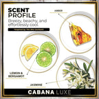 Urban Naturals Car Air Freshener Hanging + Vent Clip, Cabana Luxe Scent Diffuser, Long Lasting Car Fresheners Made in USA, Auto Accessories for women (1 Pack)