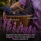 Majestic Pure Essential Oil with Glass Dropper - 100% Pure and Natural - Essential Oils for Diffuser, Aromatherapy, Soap and Candle Making, Lavender Essential Oil, Lavender Oil, 2 Fl Oz
