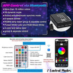 Split 4 Colors 12W Car Starlight Headliner Slim Kit 860pcs*0.02in*9.8ft with APP&RF Remote,RGBW Fiber Optic Starlight Kit,4 Port Engine Sound Activated Star Lights for Ceiling Car Roof/Home Decor