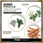 Urban Naturals Car Air Freshener Pine Forest Scent Diffuser, Long Lasting Car Fresheners Made in USA, Odor Eliminating Technology, Hanging Auto Accessories + Vent Clip (1 Pack)