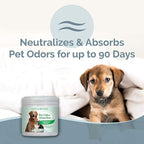 SMELLS BEGONE 15oz Gel Odor Eliminator - Absorb & Remove Tough Odors in Pet Areas, Bathrooms, Basements, Garage, Cars, RVs & Boats - Eliminate Odors Quickly (1-Pack, Pet Calming Rain)