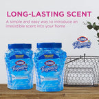Clorox Fraganzia Crystal Beads Air Freshener Twin Pack, Long Lasting Room Deodorizer and Odor Eliminator Gel Beads for Home, Car, or Office, Morning Sky Scent, 24 Fl Oz - 6 Pack