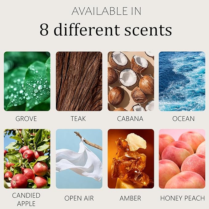 Car Air Freshener - Stone Air Freshener - Car Odor Eliminator - Long Lasting Scent - Car Scent - VISOR CLIP INCLUDED (Open Air)