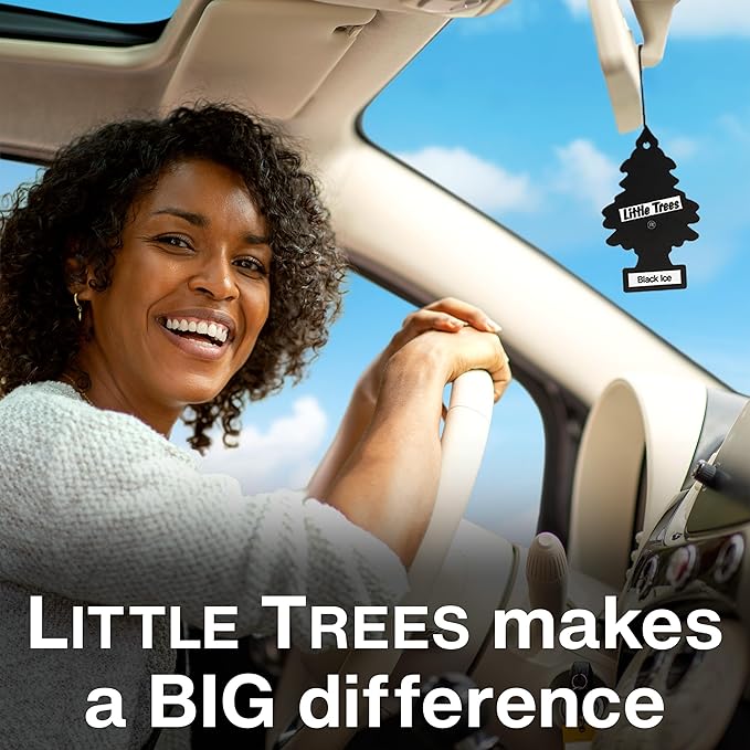LITTLE TREES Car Air Freshener | Hanging Tree Provides Long Lasting Scent for Auto and Home | 24 Air Fresheners |Blackberry Clove