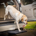 USA Made Otto Step Pet Ramp Step Helps Dogs Get in & Out of Car Van SUV | Portable Lightweight Dog Ramp | Simply Slide into 2 inch Trailer Hitch Receiver | No Tools Needed | Essential Pet Gear |