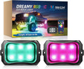 MICTUNING C2+ RGB+IC Chasing Color Rock Lights, IP68 Waterproof, 2 pcs Replace Rock Neon Light (Not Inlcude Controller)