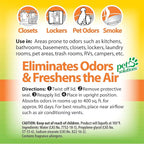 OdoBan Solid Odor Absorber Eliminator for Home and Small Spaces, Citrus Scent, 14 Ounces Each, 9-Pack