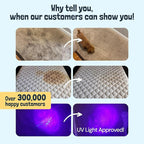Sunny & Honey Carpet Cleaner Solution - Deep Stain Remover & Surface Deodorizer - Pet & Rug Cleaner - Upholstery Cleaning for Machine Use (128 fl oz, Fresh Summer Scent)