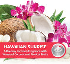 Refresh Your Car! Gel Can (Hawaiian Sunrise Scent, 4.5 oz)