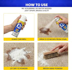 K2R SpotLifter Spot Remover Spray – Quick-Drying Stain Remover for Clothing, Carpets, Upholstery & Wallpaper – Built-In Brush Cap for No-Mess Touch-Ups – 10oz (2, 1)