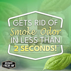 Smoke Vanish - Smoke Odor Eliminator Spray - Removes Smokey Odor Instantly with Noxban™ - Eco-Friendly - For Home, Car, Clothes & Travel - Fresh Mist Scent - 4 oz.