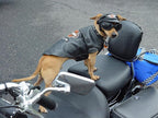 Skidmore's Biker Edition Leather Cream | All Natural Non Toxic Formula is a Cleaner and Conditioner, Protects your Motorcycle Leather | Made in USA