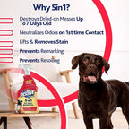 Resolve Pet Specialist Carpet Cleaner Spray – for Removal of Pet Stains & Odors Up to 7 Days Old, 22oz