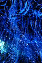 AZIMOM 50pcs*13.1ft PMMA Plastic Fiber Optic Strands End Glow 0.75mm/ 0.03in Optical Fiber Cable Roll for Star Sky Ceiling All Kind led Light Engine Source Driver