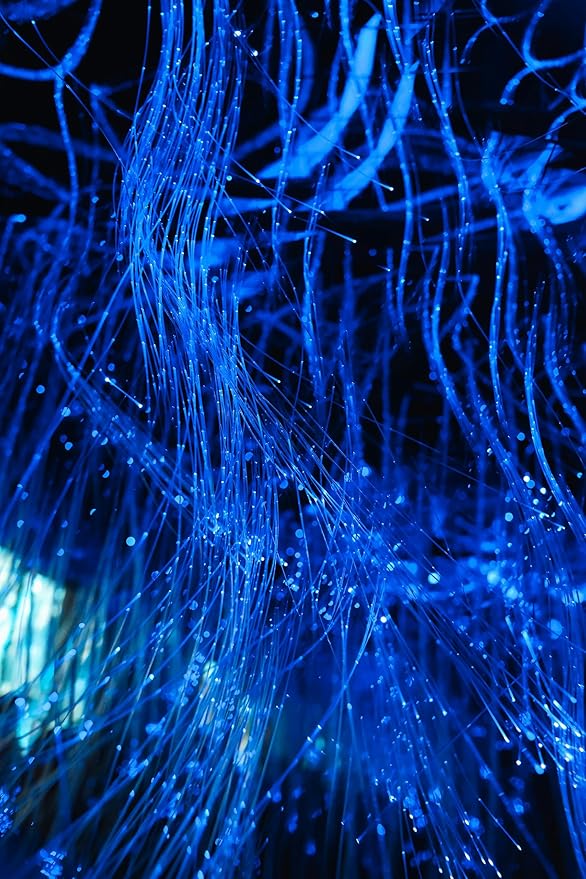 AZIMOM 50pcs*13.1ft PMMA Plastic Fiber Optic Strands End Glow 0.75mm/ 0.03in Optical Fiber Cable Roll for Star Sky Ceiling All Kind led Light Engine Source Driver