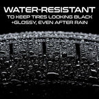 Formula 1 Black Gold, Long-Lasting Tire Shine Restores Glossy Black Color to Rubber and Plastic Trim, Water Resistant with UV Protection, 16 oz