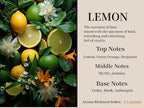 2Pack Lemon Scented Automotive Air Freshener Set,Car Accessories Decoration Hanging Scented Car Diffuser for Men Women Best Gifts