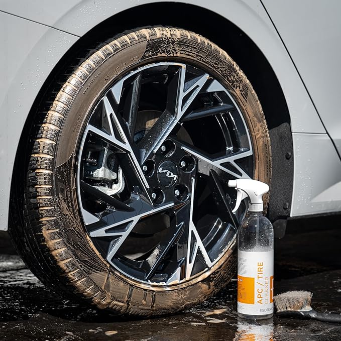 Esoteric Best Car Cleaning Kit | 12 Tools & Supplies | Bucket with Guard, Premium Microfiber Towels, Japanese Wash Sponge, pH Neutral Shampoo, Ceramic Spray, Wheel Cleaner, Tire Shine