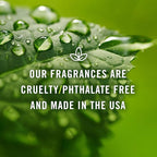 P&J Trading Fragrance Oil | Cupcake Oil 30ml - Candle Scents for Candle Making, Freshie Scents, Soap Making Supplies, Diffuser Oil Scents
