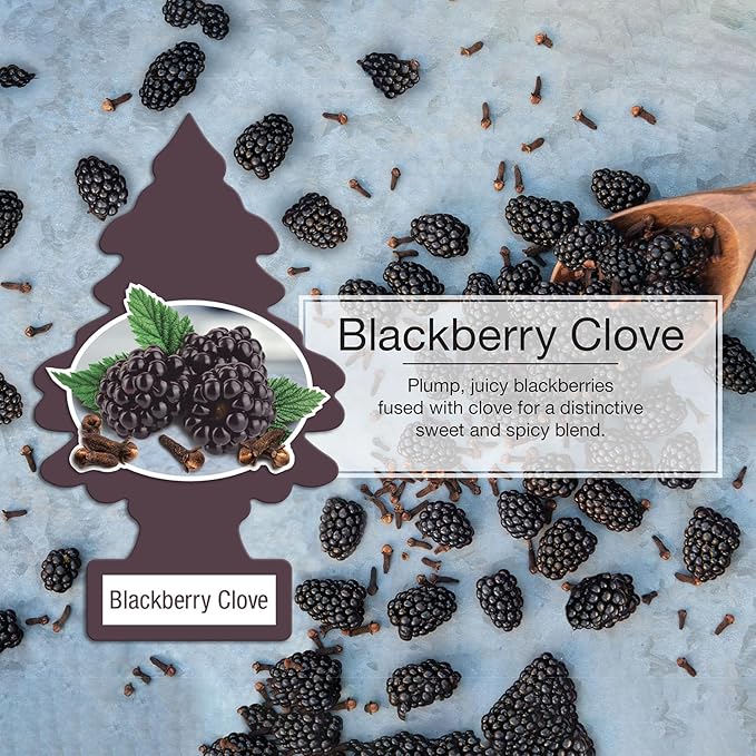 Little Trees DAS-17343 Car Air Freshener | Hanging Paper Tree for Home or Car | Blackberry Clove