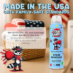 Stain Remover Spray | Non-Toxic Stain Remover Family Safe Formula | Bag-On-Valve 360° Continuous Spray Bottle | Cleaner for Clothes, Upholstery, Carpet & Car Seats 4.2 Oz, (Pack of 3)