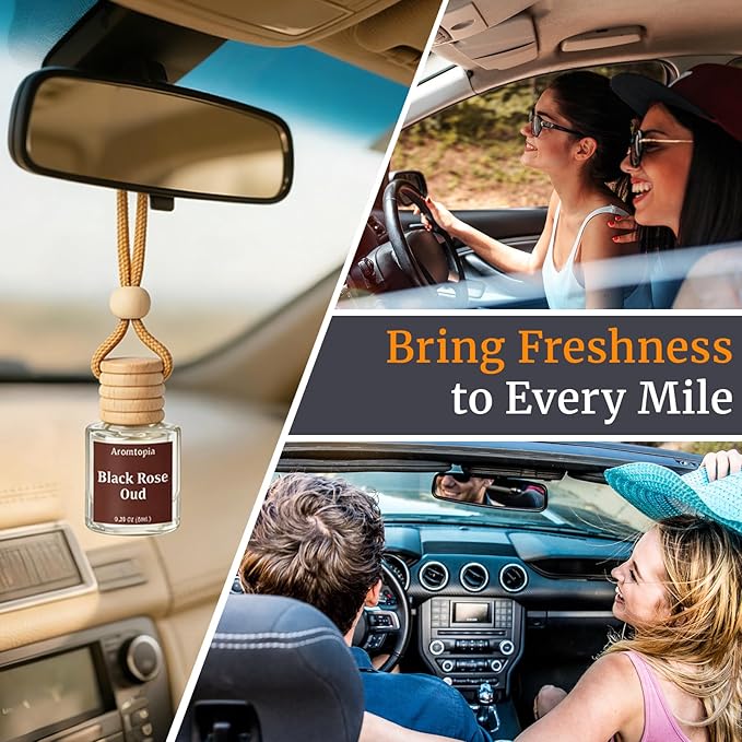 Car Air Fresheners, Hanging Car Fragrance Diffuser, Aromtopia Elegant Hotel-Inspired Scent, Car Odor Eliminator, Long-Lasting, Car Accessories Gift for Women & Men Gift (Hotel Ritz-Carlton), Pack of 2