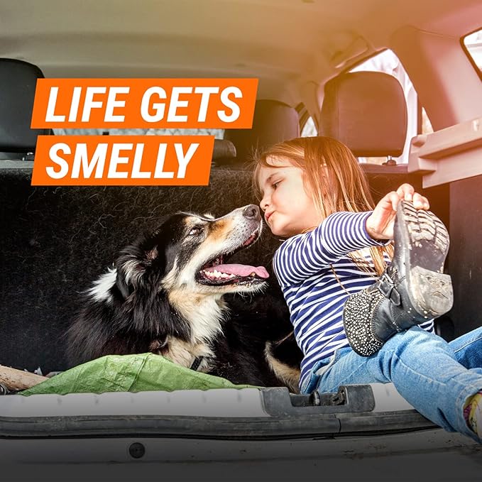 Car Air Freshener and Purifier by Armor All, Car Odor Eliminator, 3 Each