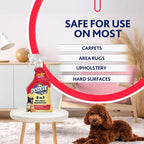 Resolve Pet Specialist Carpet Cleaner Spray – for Removal of Pet Stains & Odors Up to 7 Days Old, 22oz