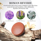 Car Air Vent Clip Freshener Refills Tablets Solid Fragrance Replacement Pads with 2 PCs Roman Reverie Scents