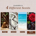 Car Air Freshener, Wood Air Freshener, Car Odor Eliminator for Visor Clip, 4-Pack Variety Scent Refill, Long Lasting - CLIP INCLUDED (Teak-Cabana-Ocean-Black Currant Rose)