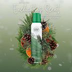 Citrus Magic Holiday Odor Eliminating Air Freshener Spray, Winter Wonder Green, 3-Ounce, Pack of 3