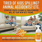 Plant-Based Couch Cleaner & Stain Remover Spray – Upholstery & Fabric Cleaner for Sofas, Couches & Car Interiors – Pet & Kid Safe, Non-Toxic, Eco-Friendly, Made in USA