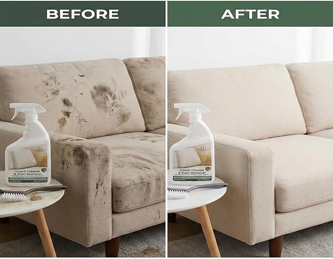 NOYATECH Travel size Couch Cleaner and Stain Remover. For sofas, car upholstery, carpets, rugs, mattresses, dining chairs, all Fabrics. Safe, for kids and pets.