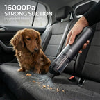 Apical Life Handheld Vacuum Cleaner, EV1396 Cordless 100W 16000Pa Strong Suction with 14–24 Min Runtime, Multi-Nozzle Design & Floor Brush for Home Cleaning, Car Detailing & Tight Spaces