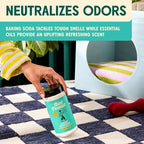Aunt Fannie's Carpet Refresher & Deodorizer Powder, Multi-Purpose Rug, Carpet, and Upholstery Odor Eliminator for Homes with Cats and Dogs, Bright Lemon Scent, 16 Oz (Pack of 2)