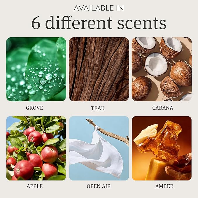 Stone Car Air Freshener - Car Odor Eliminator - Long Lasting Scent - Auto Accessories - Metal Clip (Candied Apple Scent Starter Kit)