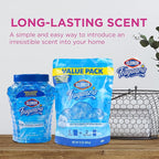Clorox Fraganzia Crystal Beads Air Freshener, Long Lasting Room Deodorizer and Odor Eliminator Gel Beads to Freshen Home, Car, or Office, Morning Sky Scent, 30 Fl Oz Resealable Pouch