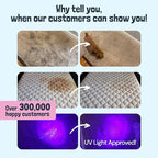 Sunny & Honey Carpet Cleaner Shampoo - Pet Stain Remover & Surface Smell Eliminator - Rug Cleaner & Upholstery Cleaner Solution for Machine Use (128 fl oz, Light Lavender Scent)