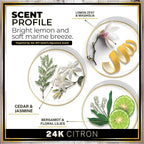 Urban Naturals Car Air Freshener Hanging + Vent Clip, 24K Citron Scent Diffuser, Long Lasting Car Fresheners Made in USA, Auto Accessories for women (1 Pack)