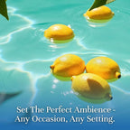 P&J Trading Fragrance Oil Summer Set | Candle Scents for Candle Making, Freshie Scents, Soap Making Supplies, Diffuser Oil Scents