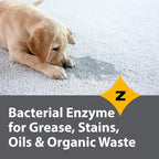 Zeiff Pro-Grade Multi-Purpose Probiotic Enzyme Cleaner - Powerful Cleaning & Odor Eliminating Formula For Professional & Home Surfaces - 32 Ounce - Fragrance Free, 2 Pack