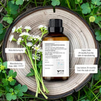 Majestic Pure Essential Oil with Glass Dropper - 100% Pure and Natural - Essential Oils for Diffuser, Aromatherapy, Soap and Candle Making, Angelica Root Essential Oil, Angelica Root Oil, 0.3 Fl Oz