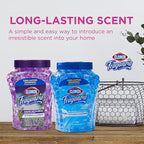 Clorox Fraganzia Crystal Beads Air Freshener, Long Lasting Room Deodorizer and Odor Eliminator Gel Beads to Freshen Home, Car, or Office, Morning Sky Scent, 12 Fl Oz - 6 Pack